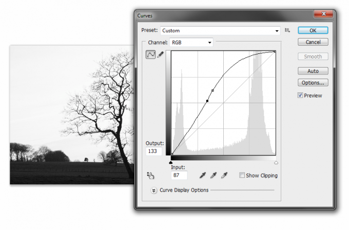 adjust curves in photoshop