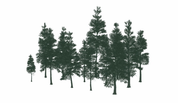 Pacific Fit Trees in SketchUp